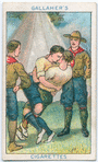 Boy Scouts Series.