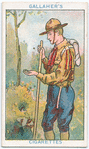 Boy Scouts Series.