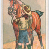 Boy Scouts Series.