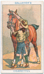 Boy Scouts Series.