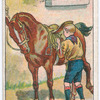Boy Scouts Series.