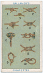 Boy Scouts Series.