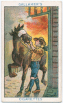 Boy Scouts Series.