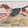 Fox Hound.
