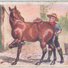 How to Clean a Kicking Pony.