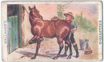 How to Clean a Kicking Pony.