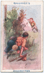 In Ambush.