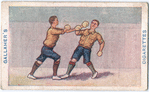 Boxing.