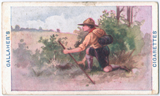 Index