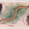 Reptiles.