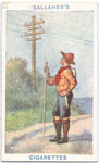 Telegraph Pole Signs.