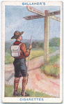 Sign Posts.