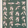 Deaf and Dumb Alphabet.