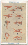 Knots and Splicing.