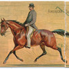 American Saddle Horse