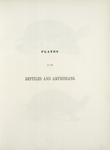 Zoology of New York
