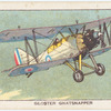 Gloster Gnatsnapper.