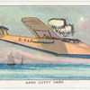 Saro Cutty Sark