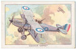 Hawker Osprey.