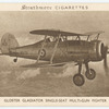 Gloster Gladiator Single-Seat Multi-Gun Fighter.