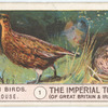 Red-Grouse.