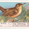 The Wren.