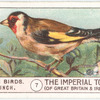 Goldfinch.