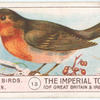 Robin.