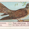 Cuckoo.