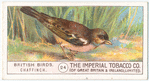 Chaffinch.