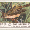 Whitethroat.