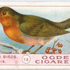 Robin.