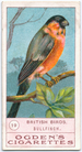 Index