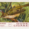 Whitethroat.
