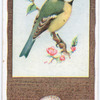 Great Tit.