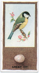 Great Tit.
