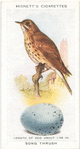 Song thrush.