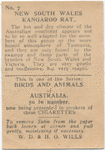 N.S.W. [New South Wales] Kangaroo Rat.