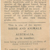 Long Nosed Bandicoot.