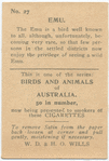 Emu.