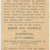 Pink Cockatoo.