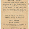 Wonga Pigeon.