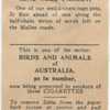 Ring-Neck Parrot.