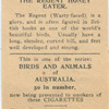 Regent Honey Eater.