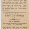 Satin Bower Bird.