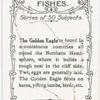 The Golden Eagle.
