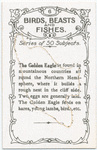 The Golden Eagle.