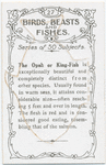 Opah or King Fish.