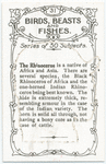 The Rhinoceros.