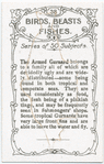 The Armed Gurnard.